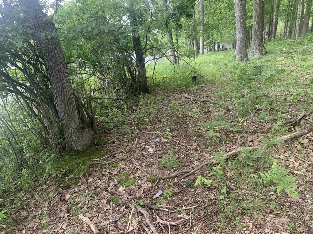 Wildwood Court Hartwick Township, MI 49631