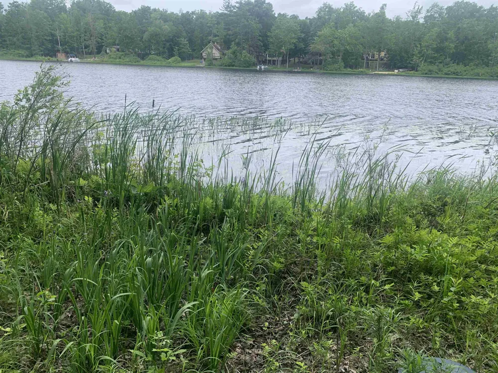 Wildwood Court Hartwick Township, MI 49631
