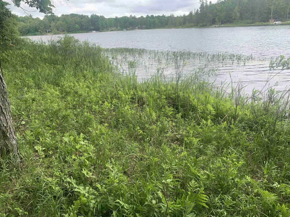 Wildwood Court Hartwick Township, MI 49631