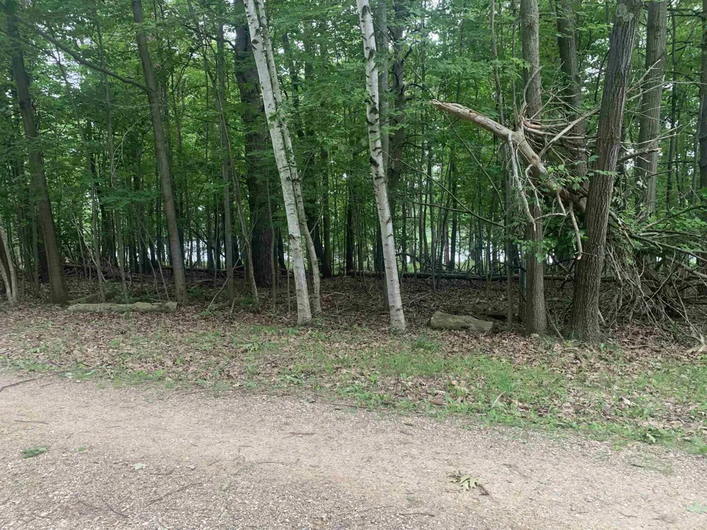 Wildwood Court Hartwick Township, MI 49631
