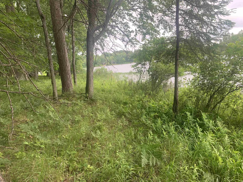 Wildwood Court Hartwick Township, MI 49631