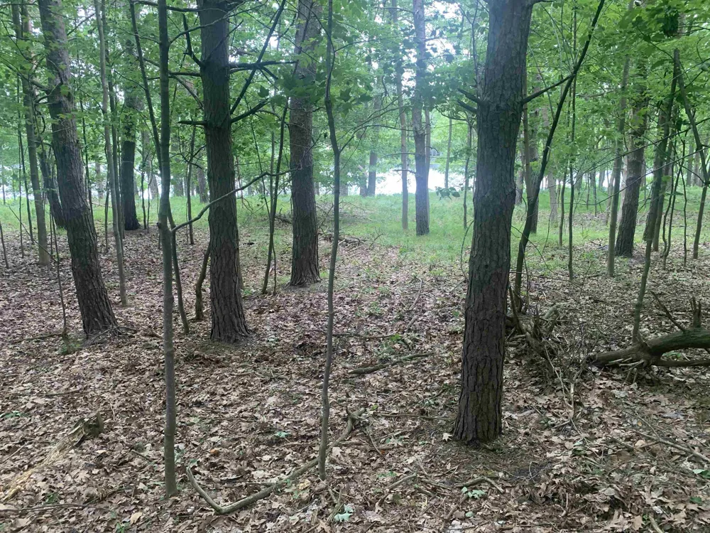 Wildwood Court Hartwick Township, MI 49631