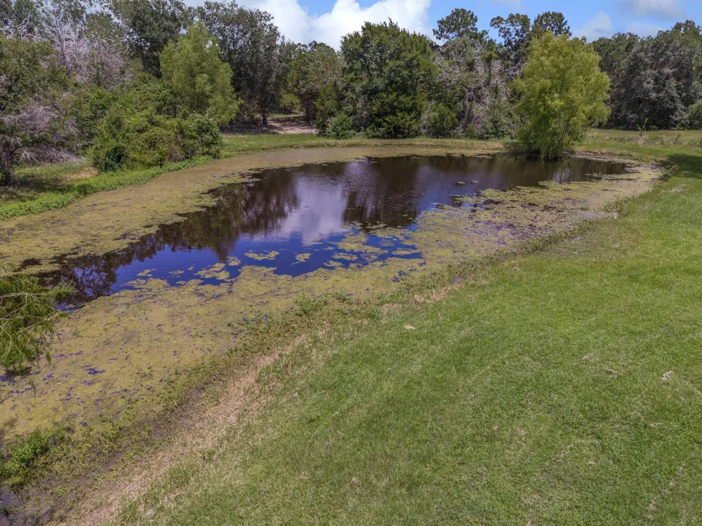 16660 Fm 3090 Road Anderson, TX 77830