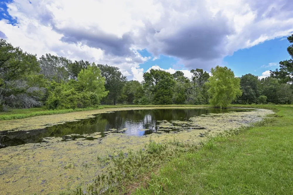 16660 Fm 3090 Road Anderson, TX 77830