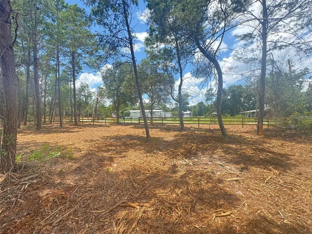 E PINE STREET Paisley, FL 32767