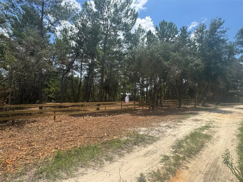 E PINE STREET Paisley, FL 32767