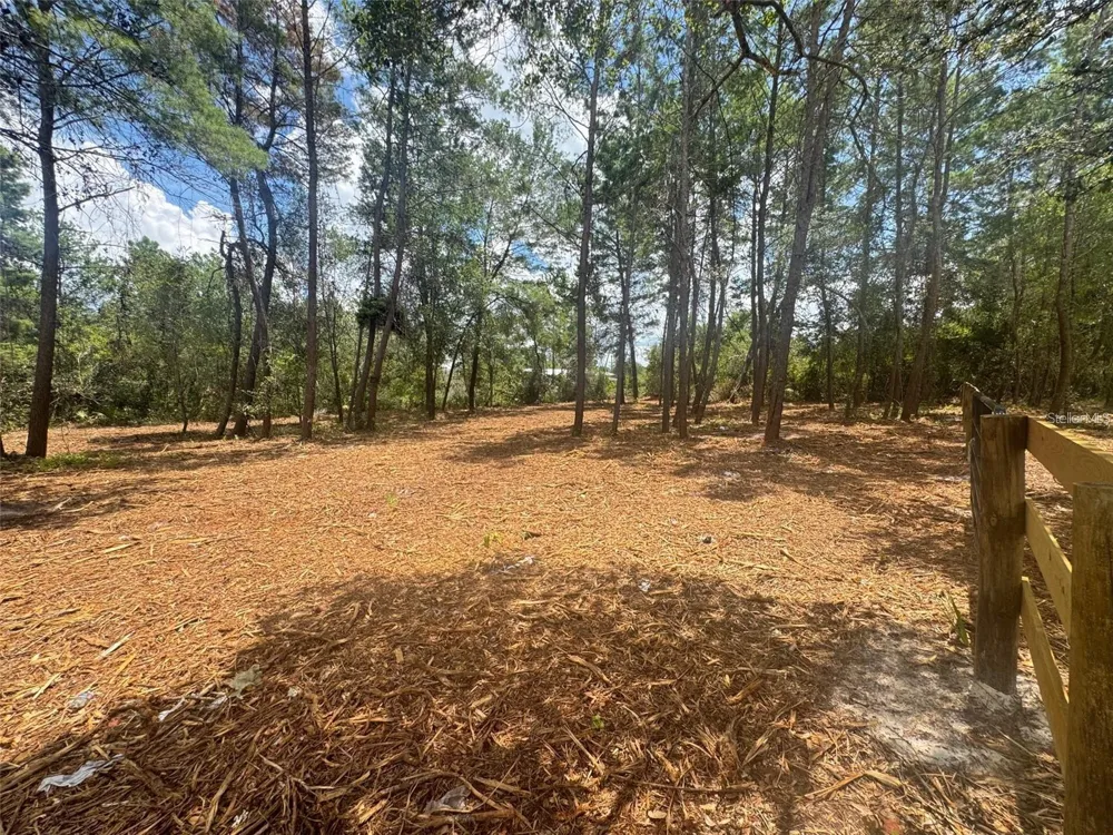 E PINE STREET Paisley, FL 32767