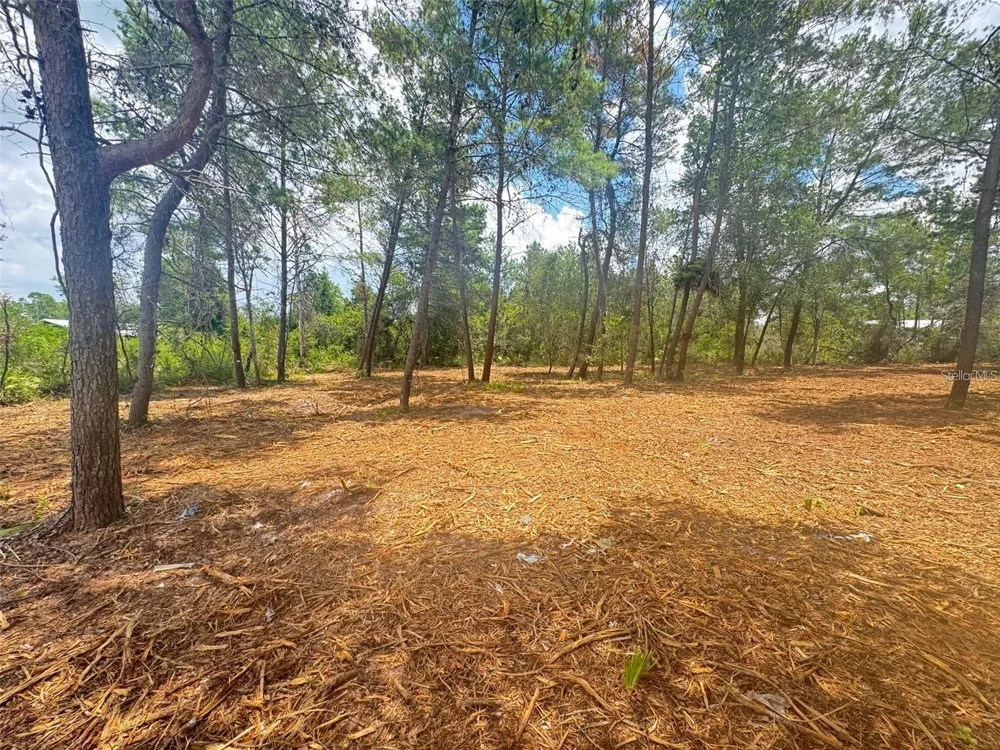 E PINE STREET Paisley, FL 32767