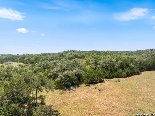 2480 Scenic View Dr Fischer, TX 78623