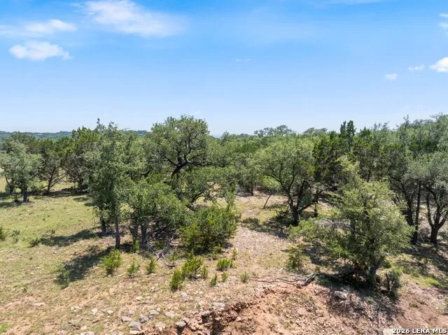 2480 Scenic View Dr Fischer, TX 78623