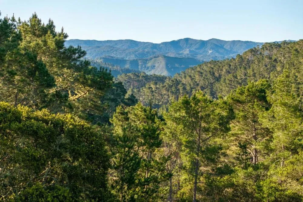 7925 Cinquenta (Lot 97) Carmel, CA 93923