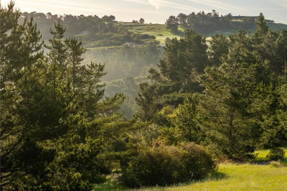 7925 Cinquenta (Lot 97) Carmel, CA 93923