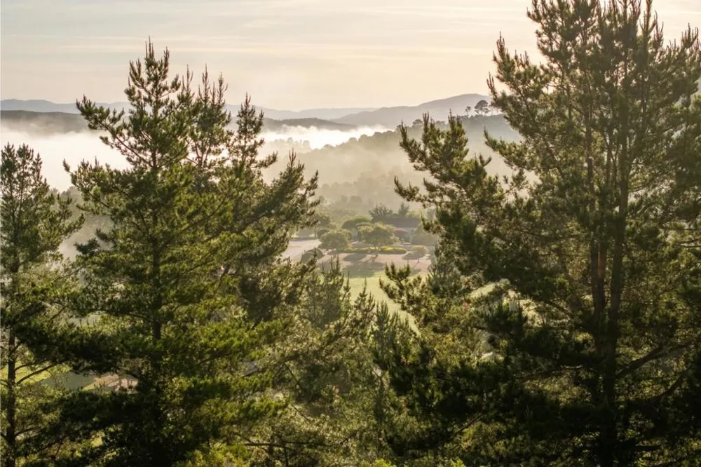 7925 Cinquenta (Lot 97) Carmel, CA 93923