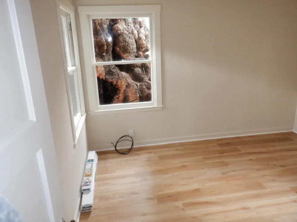 446 Mayellen Avenue San Jose, CA 95126
