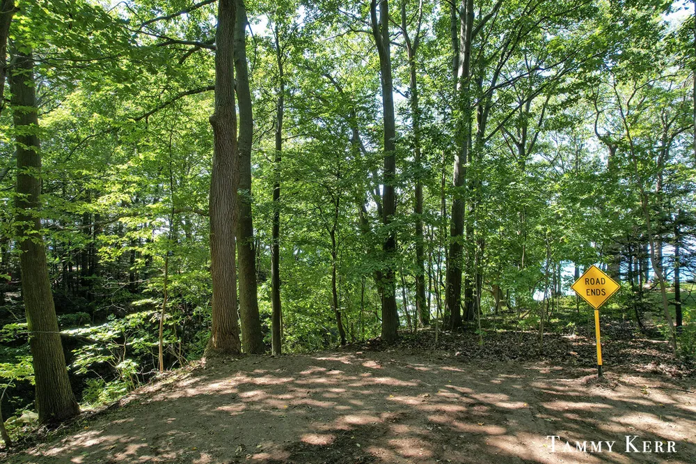 7067 118th Avenue Ganges Township, MI 49408