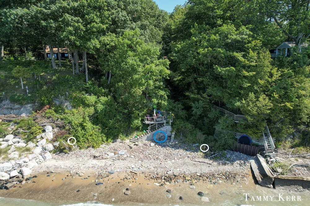 7067 118th Avenue Ganges Township, MI 49408