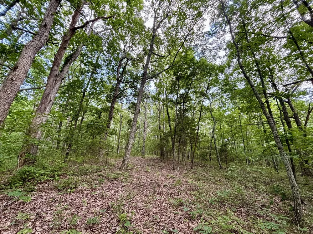 0 Harrison Ferry Rd Mc Minnville, TN 37110