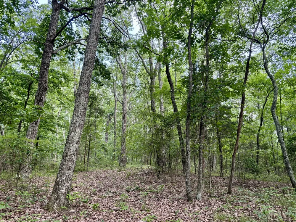 0 Harrison Ferry Rd Mc Minnville, TN 37110