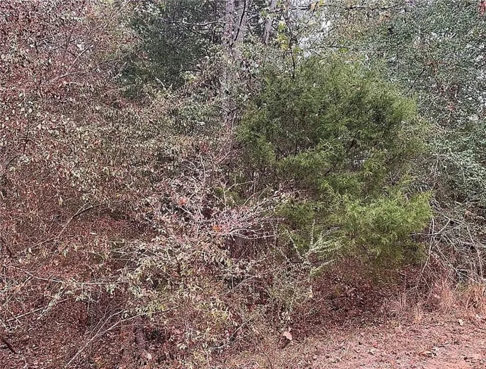 4103 Sierra Court SW Stockbridge, GA 30281
