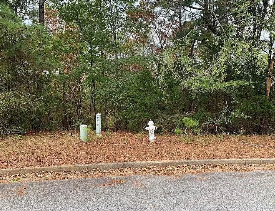 4103 Sierra Court SW Stockbridge, GA 30281