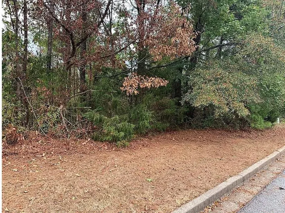 4103 Sierra Court SW Stockbridge, GA 30281