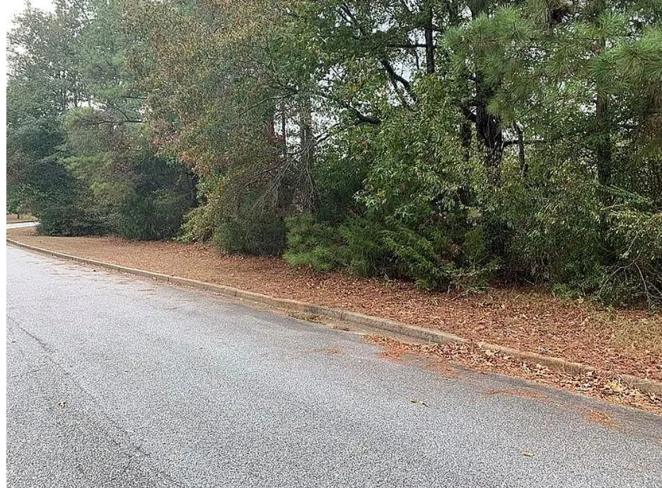 4103 Sierra Court SW Stockbridge, GA 30281