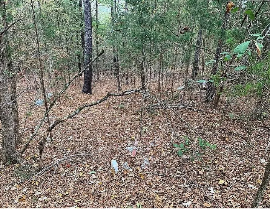 4103 Sierra Court SW Stockbridge, GA 30281