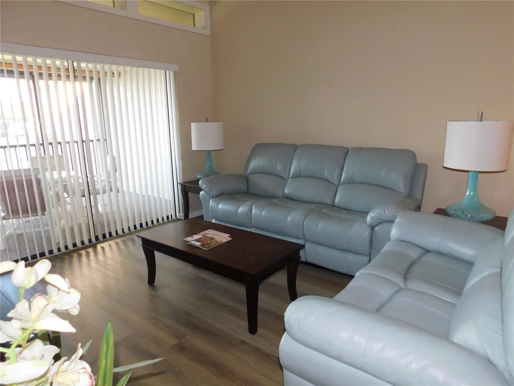 250 WOODLAKE WYNDE #250 Oldsmar, FL 34677