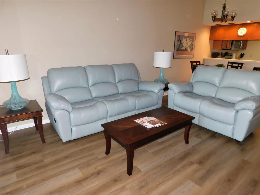 250 WOODLAKE WYNDE #250 Oldsmar, FL 34677