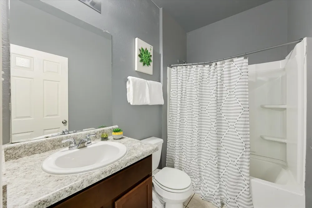 220 Nettletree Drive Buda, TX 78610