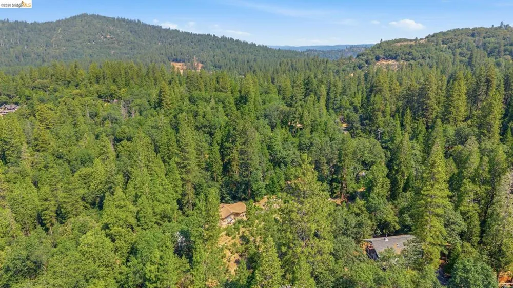 18927 Sycamore Cir Twain Harte, CA 95383