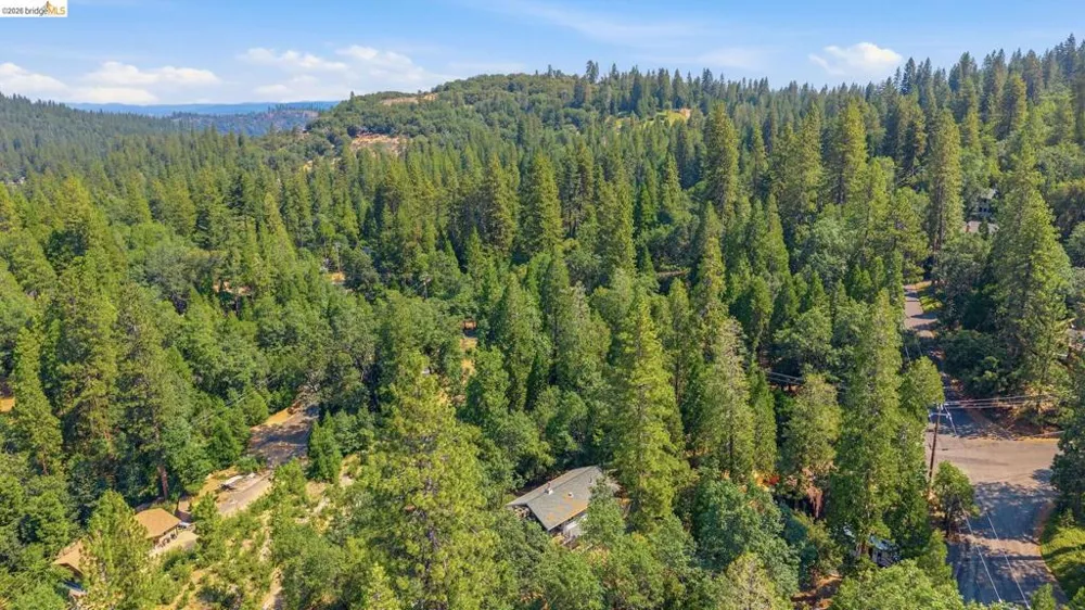 18927 Sycamore Cir Twain Harte, CA 95383