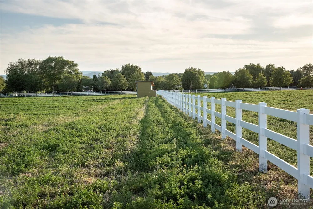 3 B Look Road Ellensburg, WA 98926