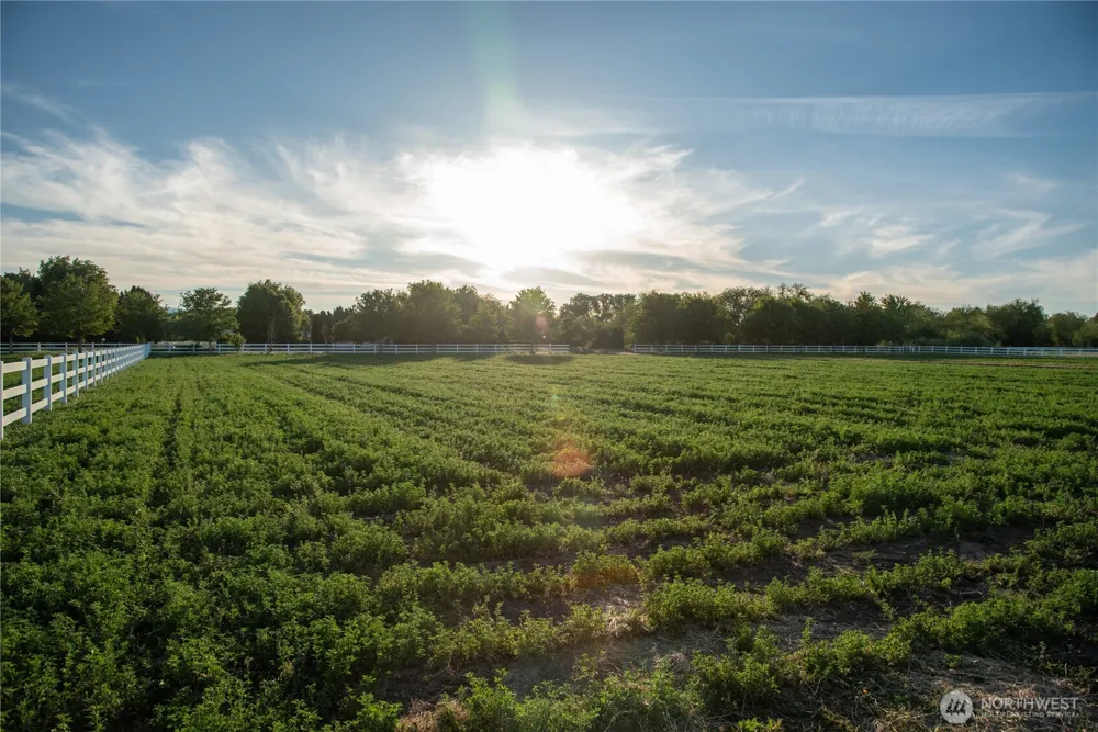 2 A Look Road Ellensburg, WA 98926