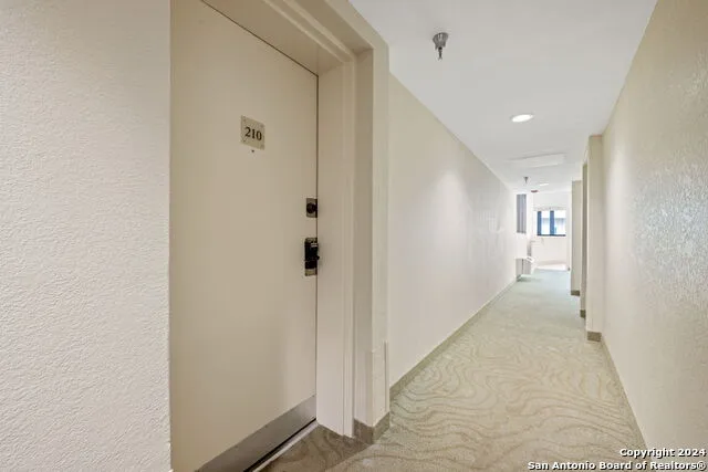 1000 Padre Blvd #210 South Padre Island, TX 78597