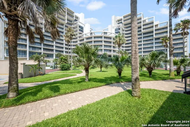 1000 Padre Blvd #210 South Padre Island, TX 78597