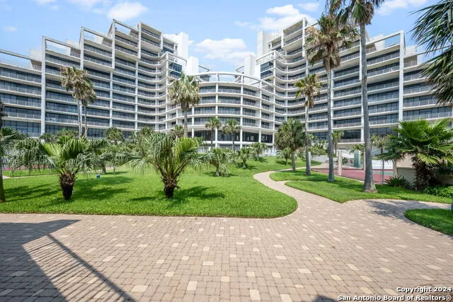 1000 Padre Blvd #210 South Padre Island, TX 78597