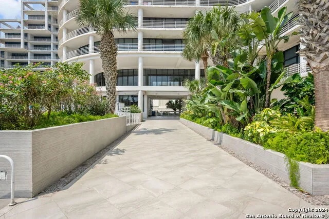 1000 Padre Blvd #210 South Padre Island, TX 78597