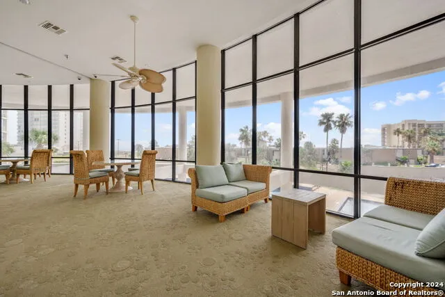 1000 Padre Blvd #210 South Padre Island, TX 78597