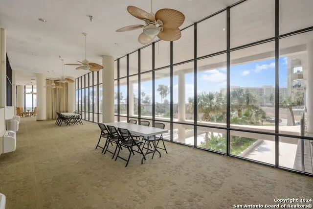 1000 Padre Blvd #210 South Padre Island, TX 78597