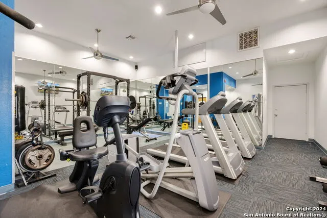 1000 Padre Blvd #210 South Padre Island, TX 78597