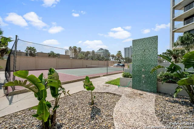 1000 Padre Blvd #210 South Padre Island, TX 78597