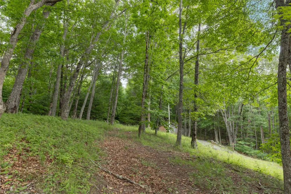 Lot 29 Bullbriar Drive Glenville, NC 28736