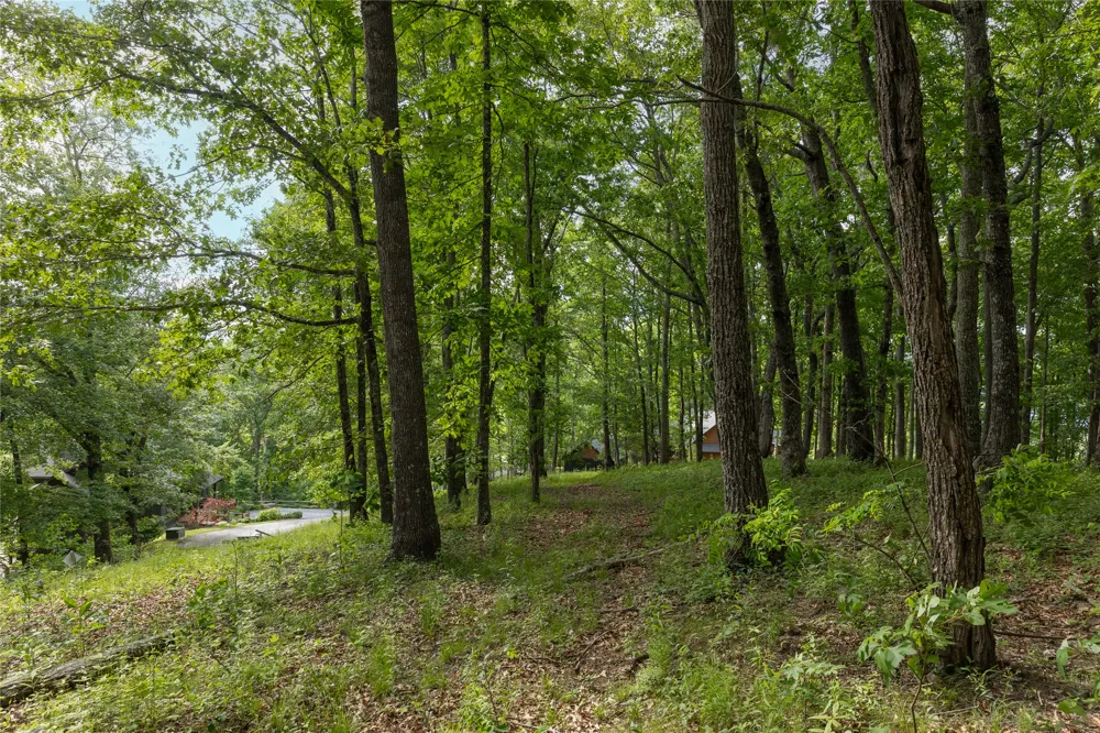 Lot 29 Bullbriar Drive Glenville, NC 28736