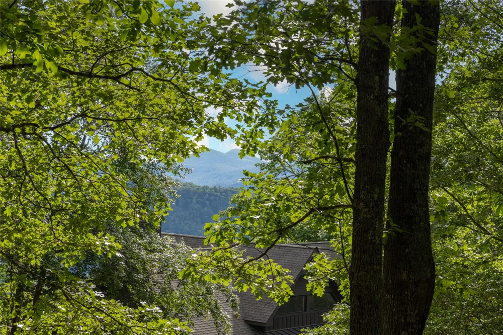 Lot 29 Bullbriar Drive Glenville, NC 28736