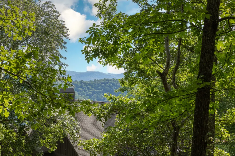 Lot 29 Bullbriar Drive Glenville, NC 28736