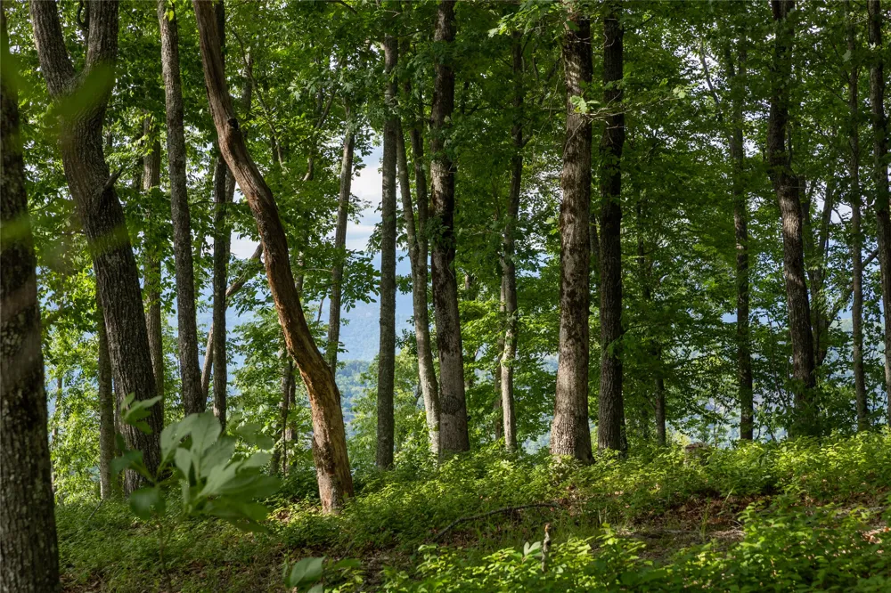 Lot 29 Bullbriar Drive Glenville, NC 28736