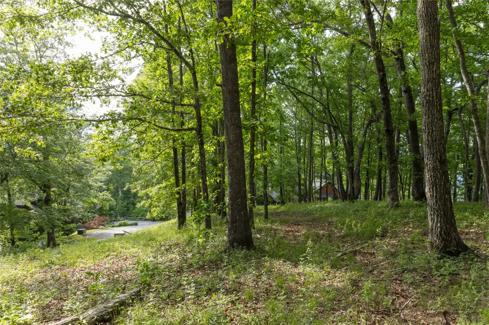 Lot 29 Bullbriar Drive Glenville, NC 28736