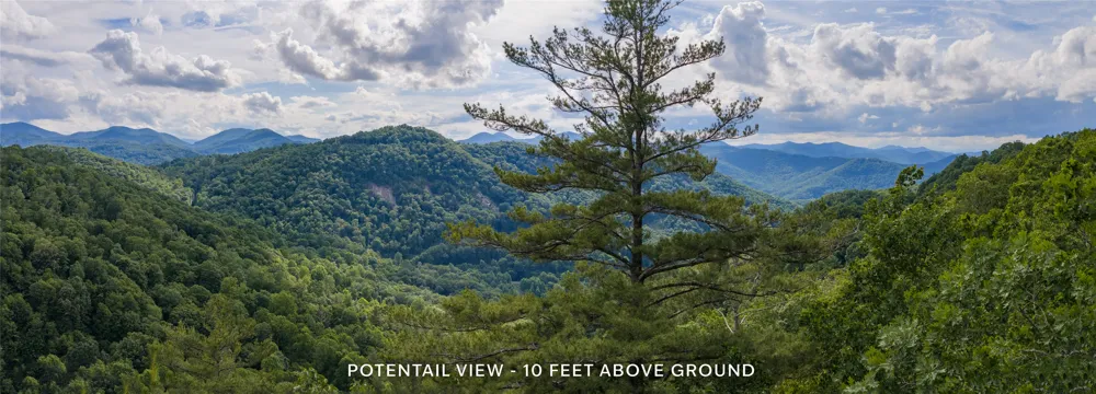 Lot 51 Winter Green Drive Glenville, NC 28736