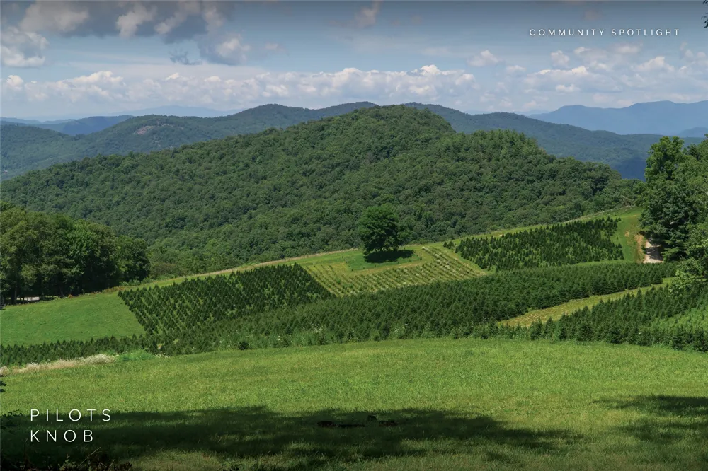 Lot 51 Winter Green Drive Glenville, NC 28736